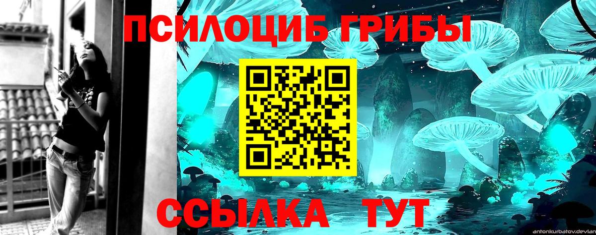 Галлюциногенные грибы Psilocybe Родники